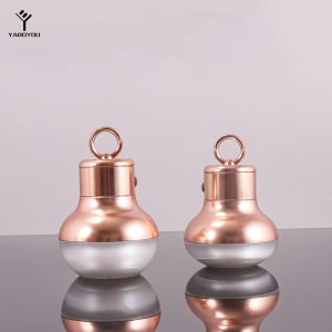 30g/50g Acrylic Cream Bottle